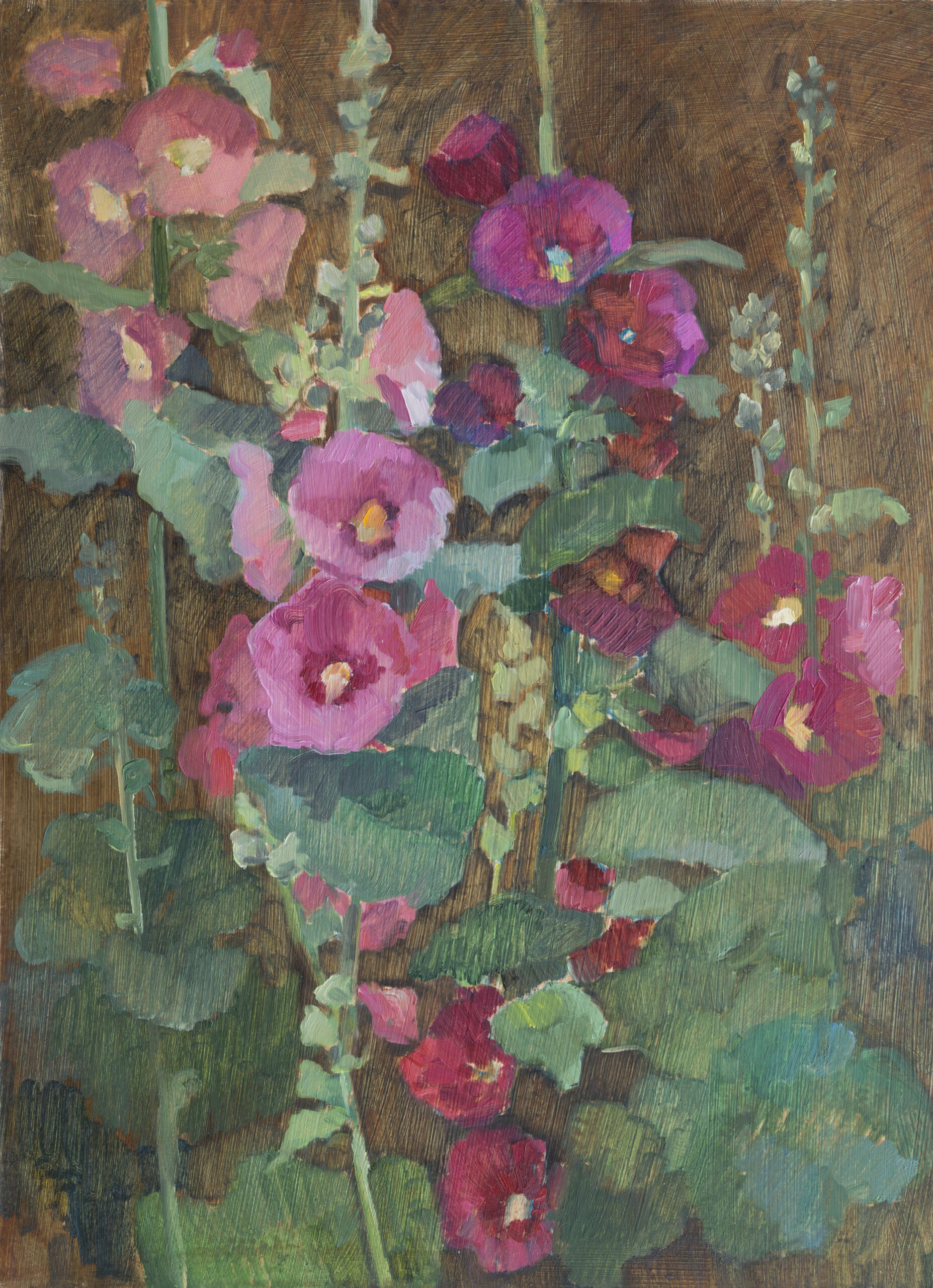Malva 2016 66×48 cm