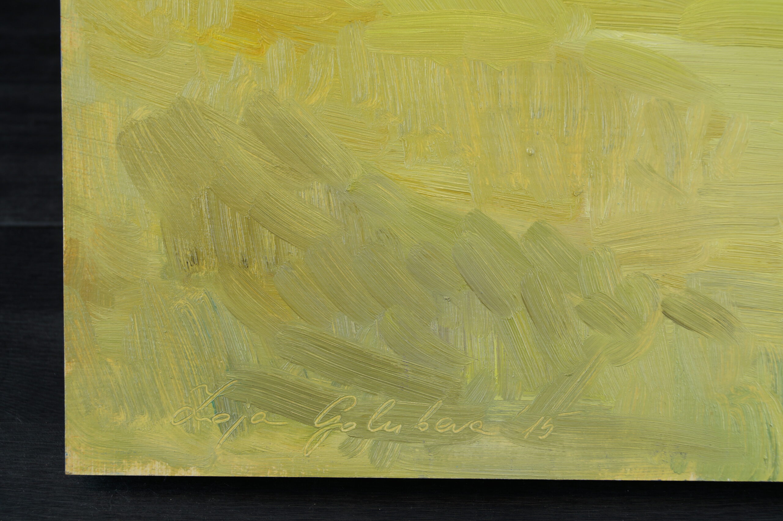 ZZ Pie upes by the river Kuldiga 2015 37×37 ZojaGolubeva (18)