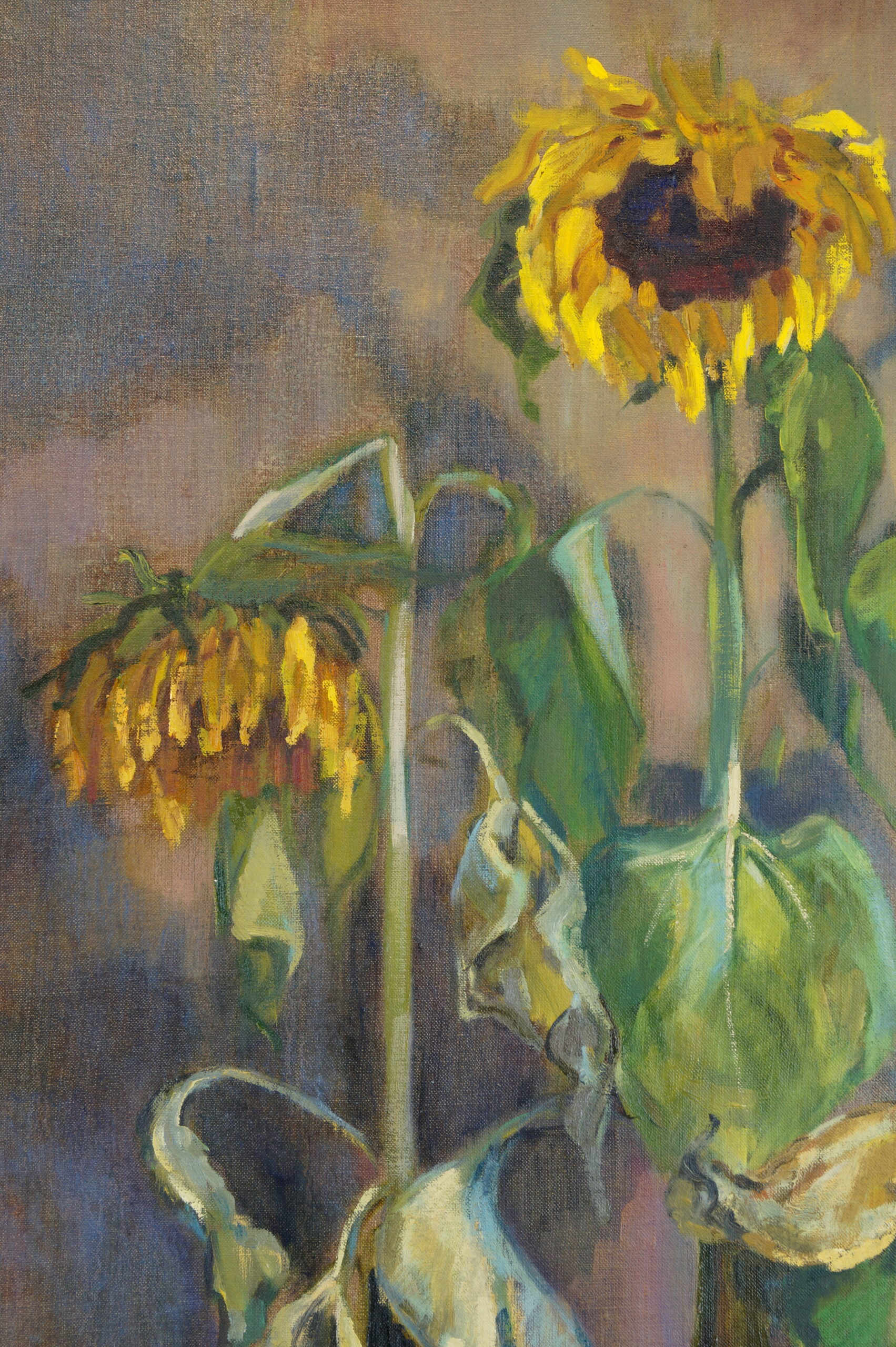 ZZ Sunflowers 2020 102 x 80 cm oil on canvas Zoja Golubeva (53)
